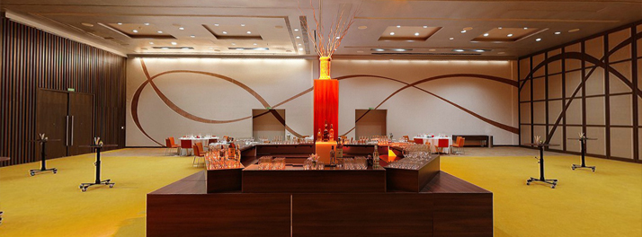 389/Mercure & Lavasa International Convention Centre - 13.jpg